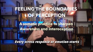 Feeling the Boundaries of Perception: a Somatic Awareness +Interoceptive Practice