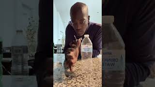 Static Field Training