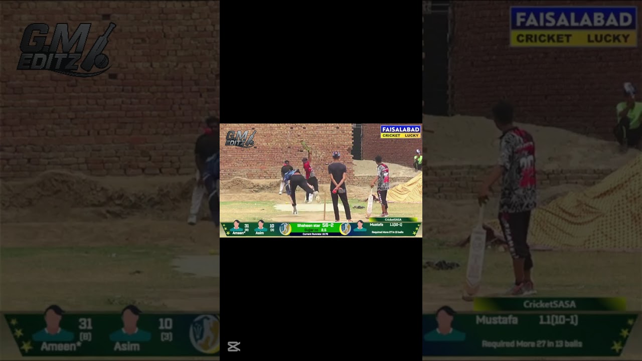 TAPPBALL CRICKET BEST BOLLING 