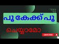 ഒരു പൂ കേക്ക് craft ചെയ്യാമോ🎨🖌️ / Craft ideas / Divya Shiju