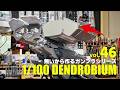 無いから作る 1/100デンドロビウム フルスクラッチ vol.46　[1/100Dendrobium building 46 EngSub][ガンプラ gunpla]