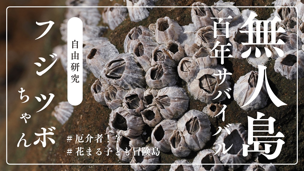 花まる子ども冒険島】自由研究～フジツボ～ - YouTube