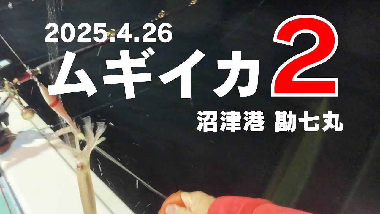 【2025年4月】ムギイカ２