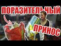 ПОРАЗИТЕЛЬНЫЙ ПРИНОС в одну из СКУПОК