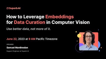 How to Leverage Embeddings for Data Curation in Computer Vision