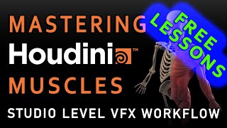 Master Houdini Muscles: FREE Part 3: Advanced Concepts Covered