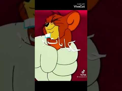 اغنية سلامات علي احلي صحاب و اخوات