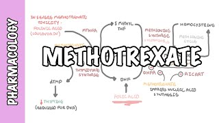 Methotrexate - Pharmacology (DMARDs, mechanism of action, side effects)