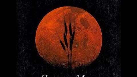 Harvest Moon - Nakoda Elementary School Chris Hadfield Neil Young Tribute video