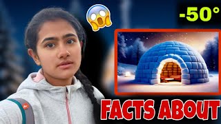 The Igloo Effect 😲 हैरान करने वाले तथ्य 💥 #igloo #eskimo #syberia #facts #trending