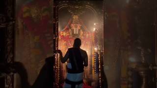 Inside The Most Expensive Darshan In India #tirupati #balaji #shorts