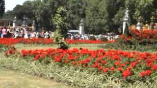 Buckingham PALACE    2