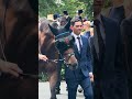 I’m not just a horse, I’m a cool horse 😎