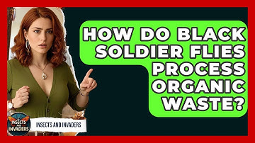 How Do Black Soldier Flies Process Organic Waste? - Insects and Invaders
