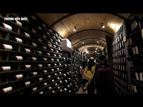 Video Khám phá Hầm Rượu Vang và nhà máy sản xuất Trà Atiso... - youtube