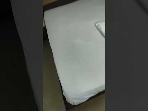 whatsapp status ♥️ tranding vairal funk 🐼#shorts #vairla #funny #funk