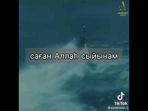 Киевте үйлену көйлектерін жалға алу