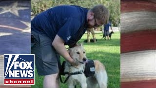 Veteran opens up about how his service dog changed his life