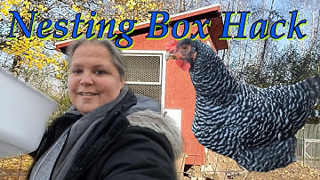 Nesting Box HACK - Cheap and Easy D.I.Y. - Great idea to Clean your nesting box in Seconds!