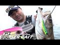 【シーバス】東京湾でライザーベイト炸裂！！ / 嶋田仁正 ジャッカル