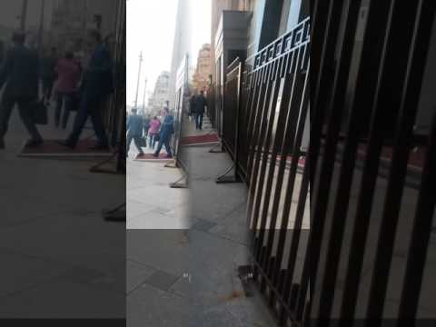 Первый Николаевский, пикет