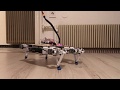 Brushless Quadruped Robot – First Steps