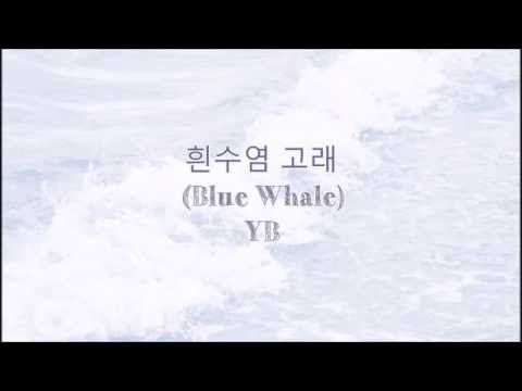 YB - 흰수염고래(Blue Whale) (+) YB - 흰수염고래(Blue Whale)