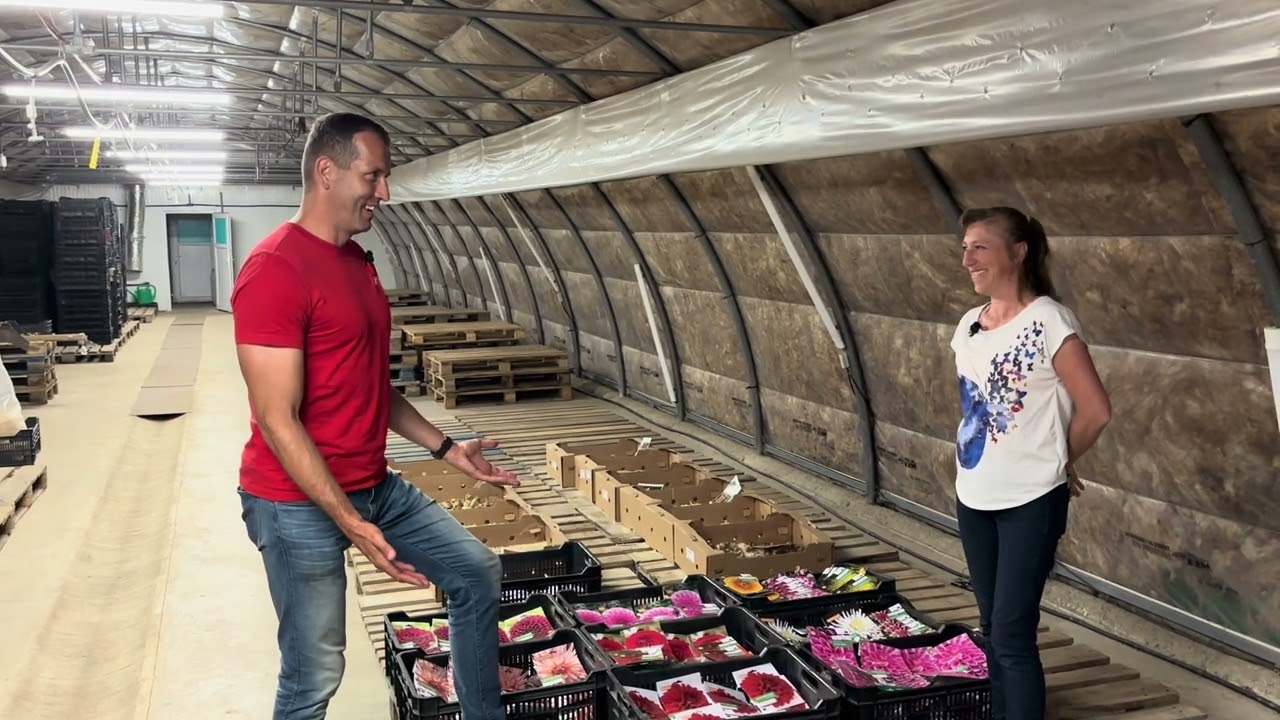 Virághagyma nagykereskedesben jártam, sok érdekességet láttam. Lyra Virágbhagyma Kft.