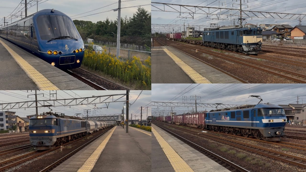 11月2日撮影。車両トラブルにより大混乱だった東海道線。貨物列車も遅れ多数、清洲駅を高速で通過する貨物列車も登場‼️。ロイヤルエクスプレスハンドル訓練列車も。