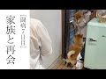 こまめとちくわ、家族との6日ぶりの再会の様子です