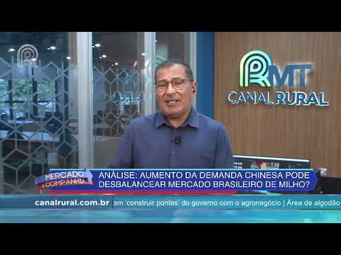 Aumento da demanda chinesa pode afetar mercado brasileiro do milho? | Canal Rural