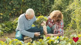 Life Enrichment Activities Program (LEAP)