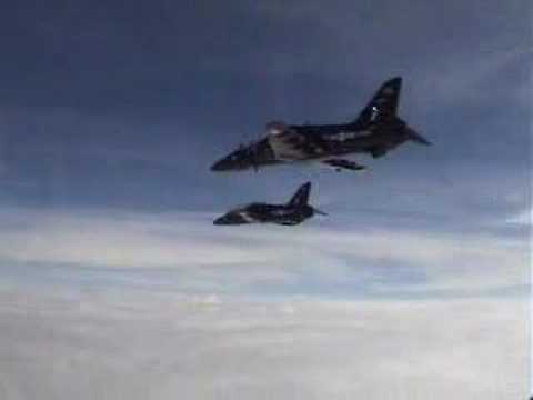 Hawk Formation and Tailchase Flying