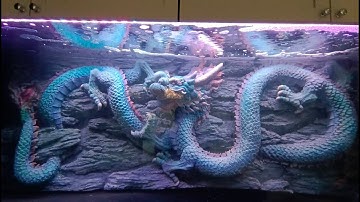 Off พระราม 2 - NC. เข้ามาดูหน้างานสำรวจปัญหาทั้งหมดหลังเติมน้ำจริงก่อนลงปลาปีหน้า/ มีการแก้ไขหลายจุด