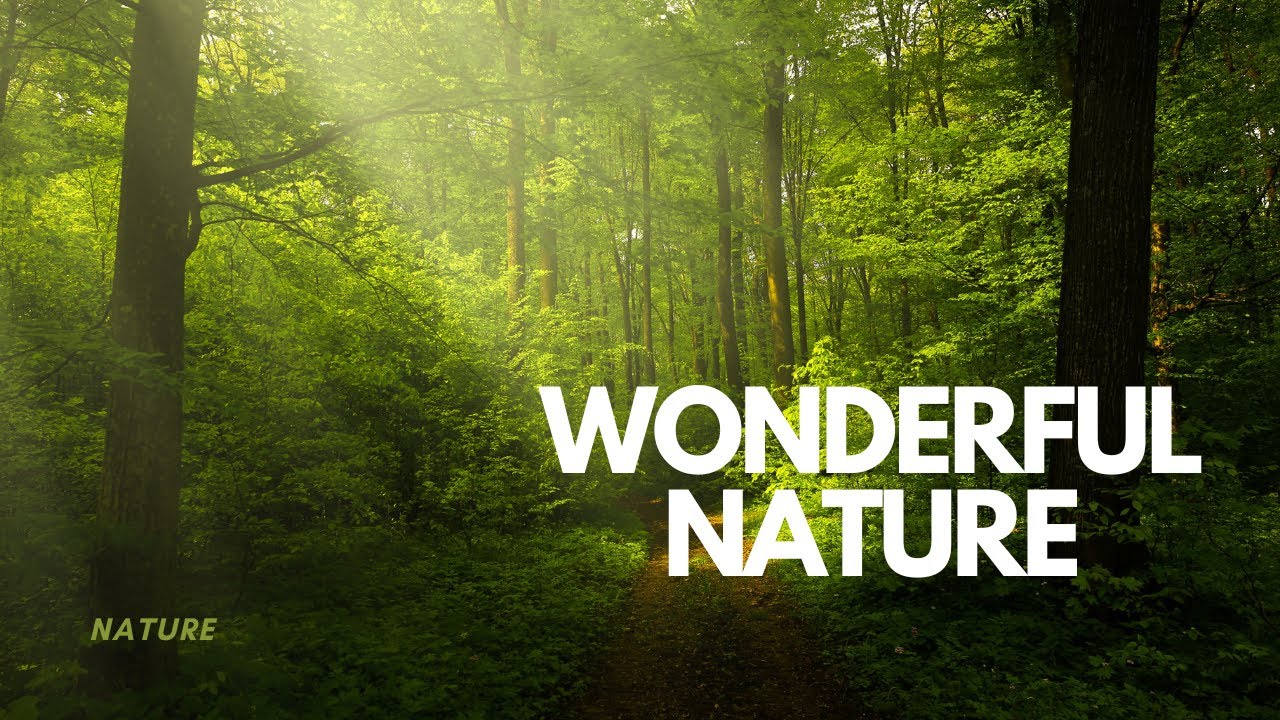 wonderful nature in bangladesh - YouTube