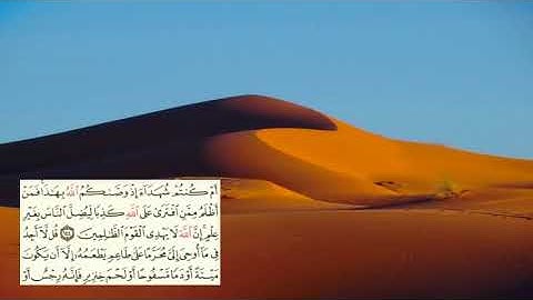 صفحة-147 page سعد الغامدي - -سورة الانعام -al an'am