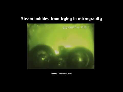 Steam Bubbles From Frying In Microgravity