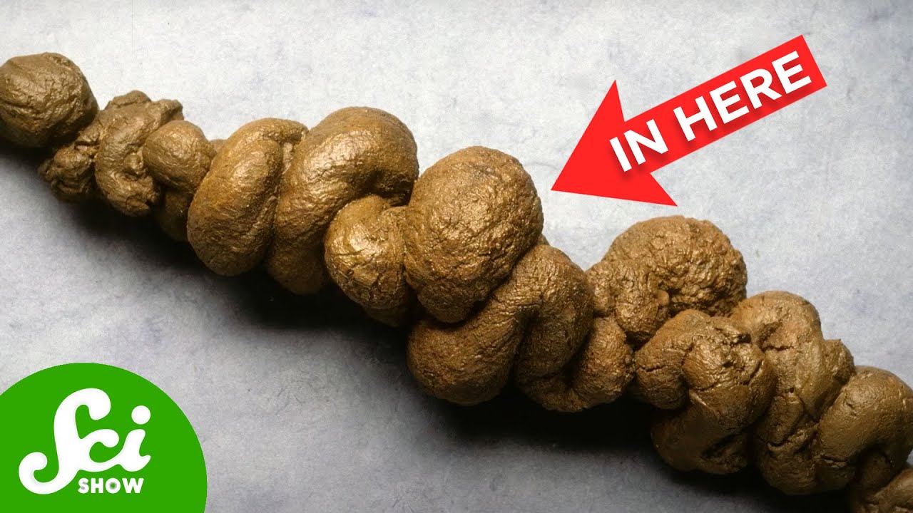 We Keep Finding Fossils in VERY Weird Places…