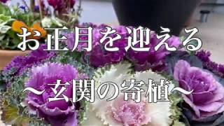 【ガーデニング】お正月を迎える〜玄関の寄せ植え〜