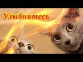 Смешное видео про животных  Создай себе хорошее настроение