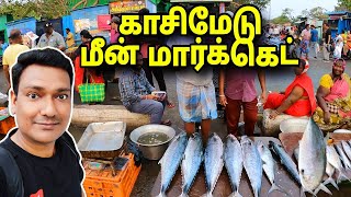 பெரிய மீன் Kasimedu Fish Market | Fish Market | Fish Cutting | Chennai Fish Market | ASRAF VLOG