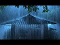 Regengeräusche Wald zum sofortigen Einschlafen - Starkregen und Donner auf einem Blechdach in Nacht