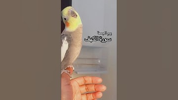 #ساعة_استجابه #اللهم_صل_وسلم_على_نبينا_محمد #يوم_الجمعة #سورة_الكهف #دعاء_مستجاب #الله