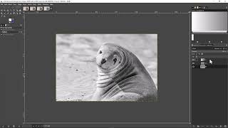 Sharpen an Image With GIMP: Two Methods Demonstrated