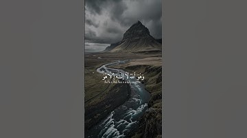 تلاوة القرآن الكريم بصوت الشيخ ياسر الدوسري #قرآن #قران_كريم #المصحف