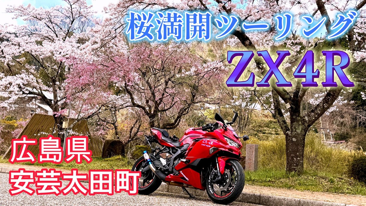 タホスペアバリ山 ZX-4R] ~Bike Pilgrimage #5~ The perfect spot for a cherry blossom