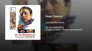 Dead Pigeons