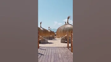 مطعم أبو زعيتر الجديد بشاطئ مارينا سمير 