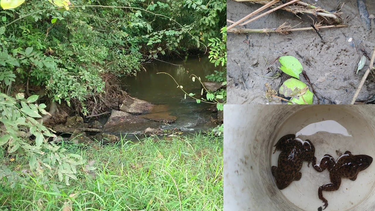 หมายและรอยเท้าแบบนีไม่น่าจะพลาด