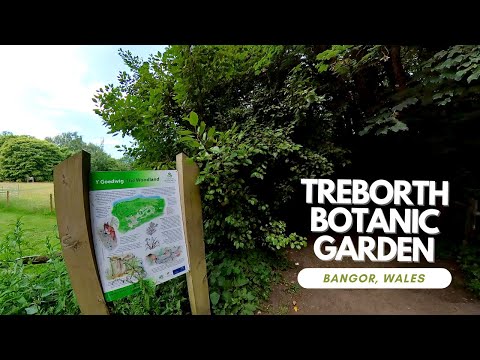 Exploring the Enchanting Treborth Botanic Garden: A Nature Walking Tour in Wales. Walking Tour.